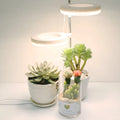 Compact black LED plant growth lamp with adjustable arms on a wooden desk next to small potted succulent.