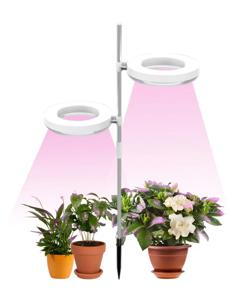 Compact black LED plant growth lamp with adjustable arms on a wooden desk next to small potted succulent.