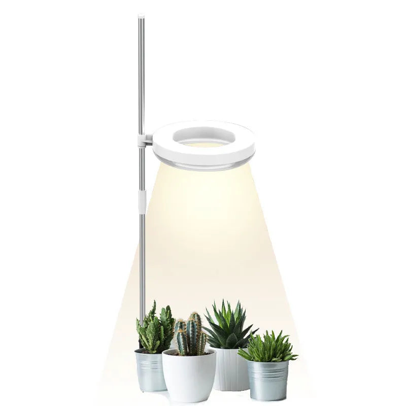 Compact black LED plant growth lamp with adjustable arms on a wooden desk next to small potted succulent.