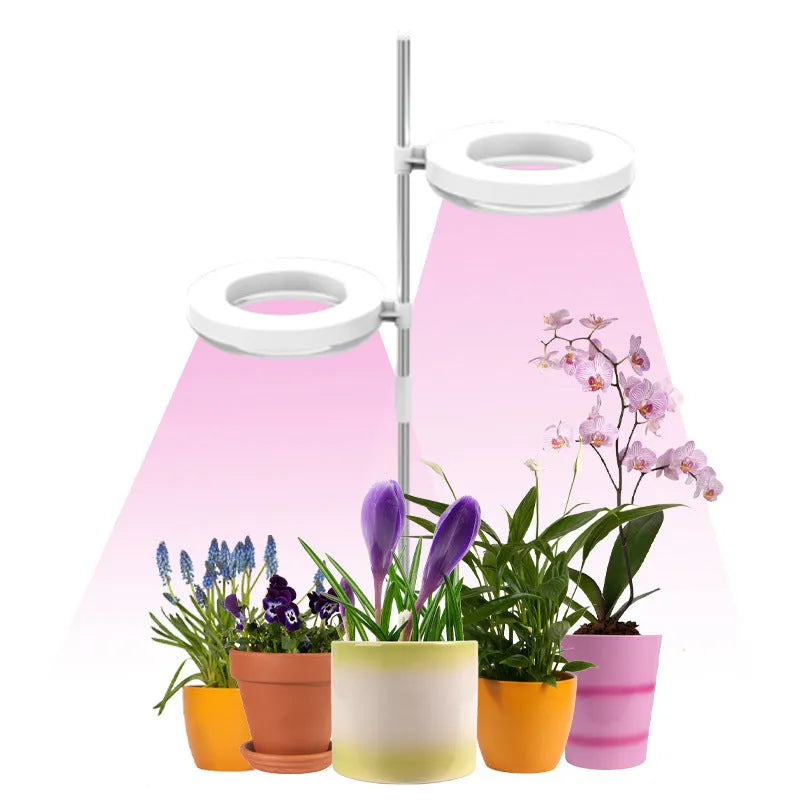 Compact black LED plant growth lamp with adjustable arms on a wooden desk next to small potted succulent.