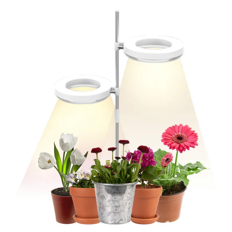 Compact black LED plant growth lamp with adjustable arms on a wooden desk next to small potted succulent.