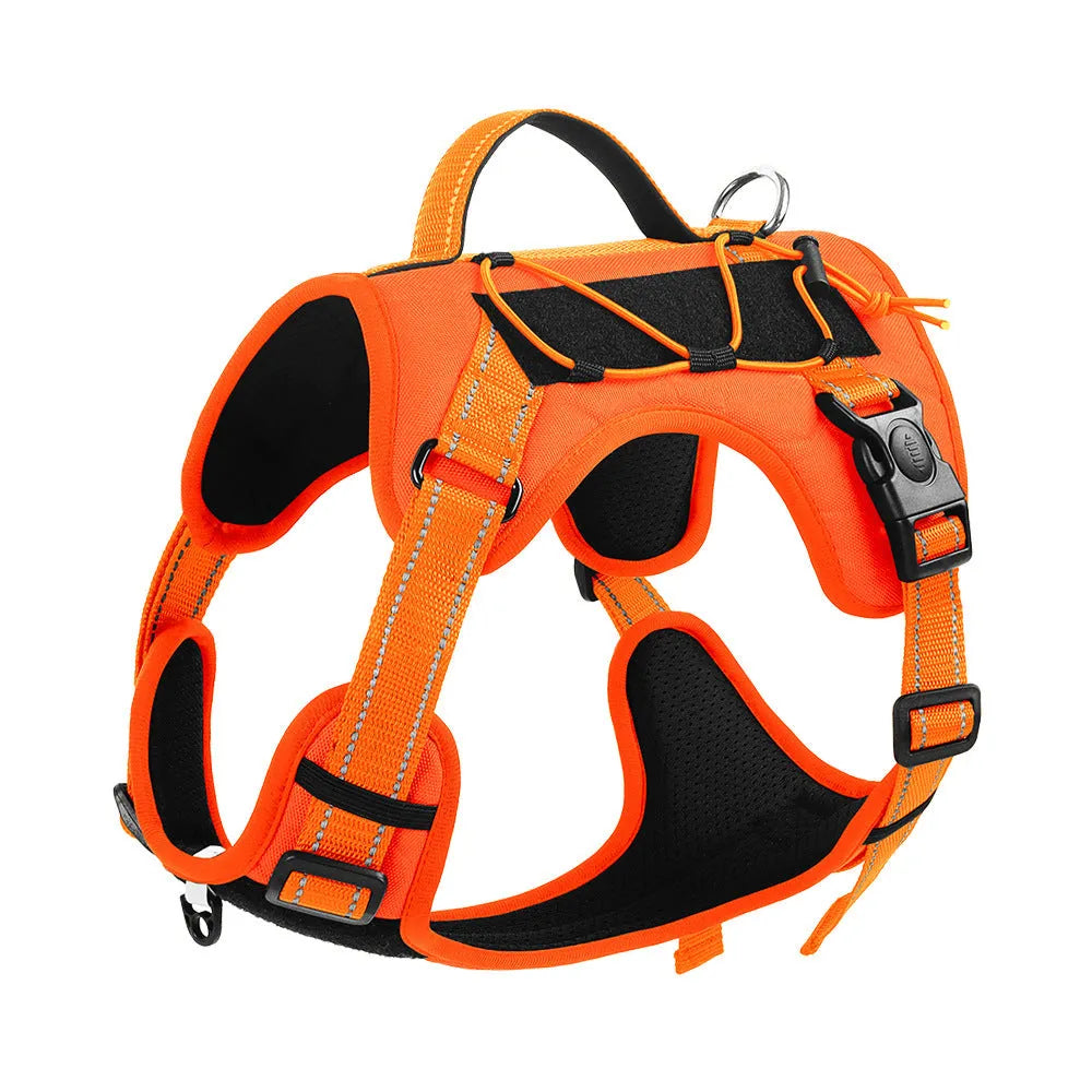 Orange reflective dog harness with explosion-proof hand holding rope on a medium-sized dog.