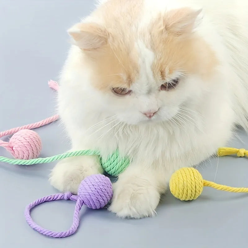 Green cat toy ball with a rope handle looped through it, shown next to a smaller pink version.