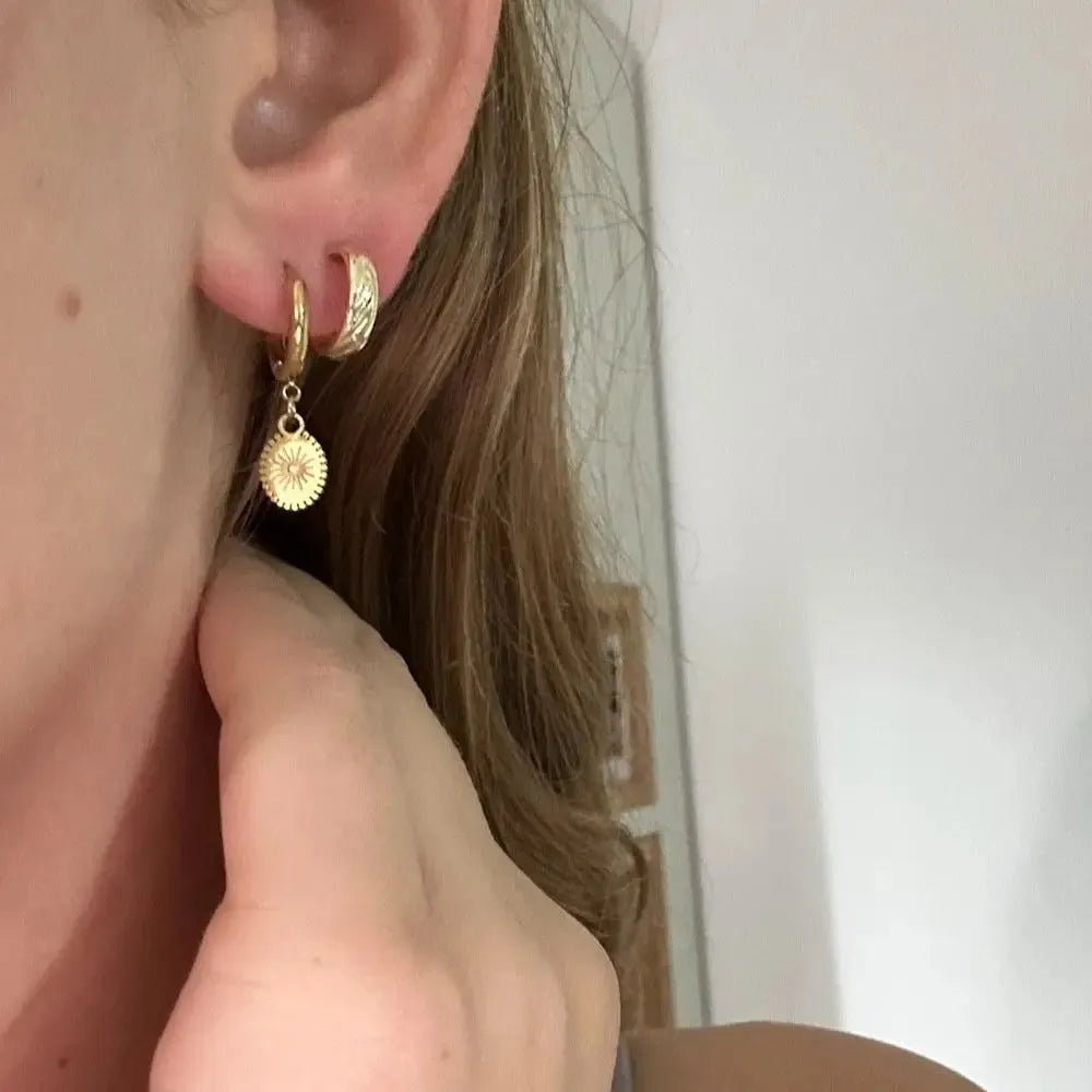 Stainless steel geometric drop earrings with oval elements and ear button fastening