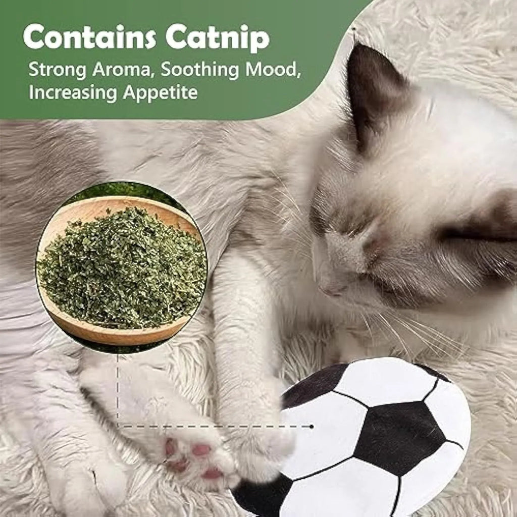 Interactive plush flying disc cat toy with sports ball pattern for indoor cats and kittens