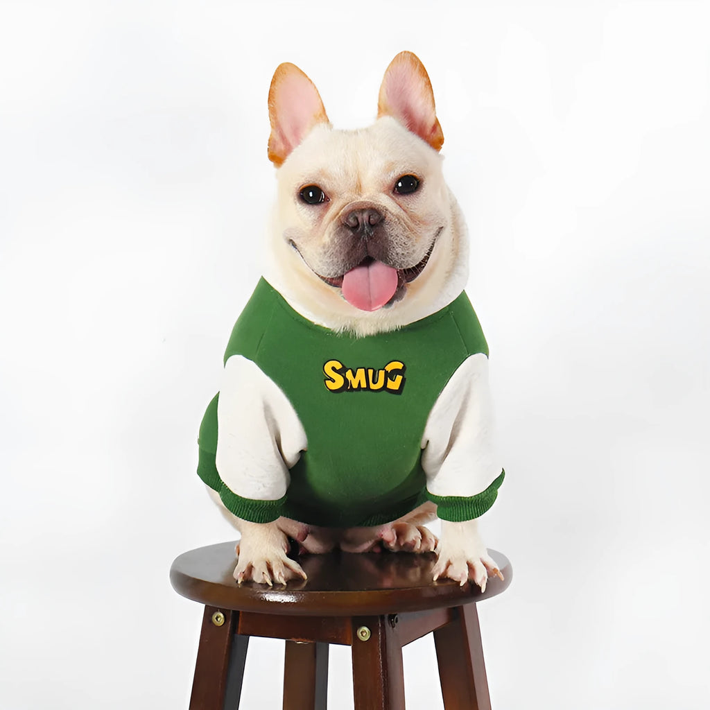 Green cotton dog clothing for autumn and winter seasons in sizes L XL 2XL 3XL 4XL