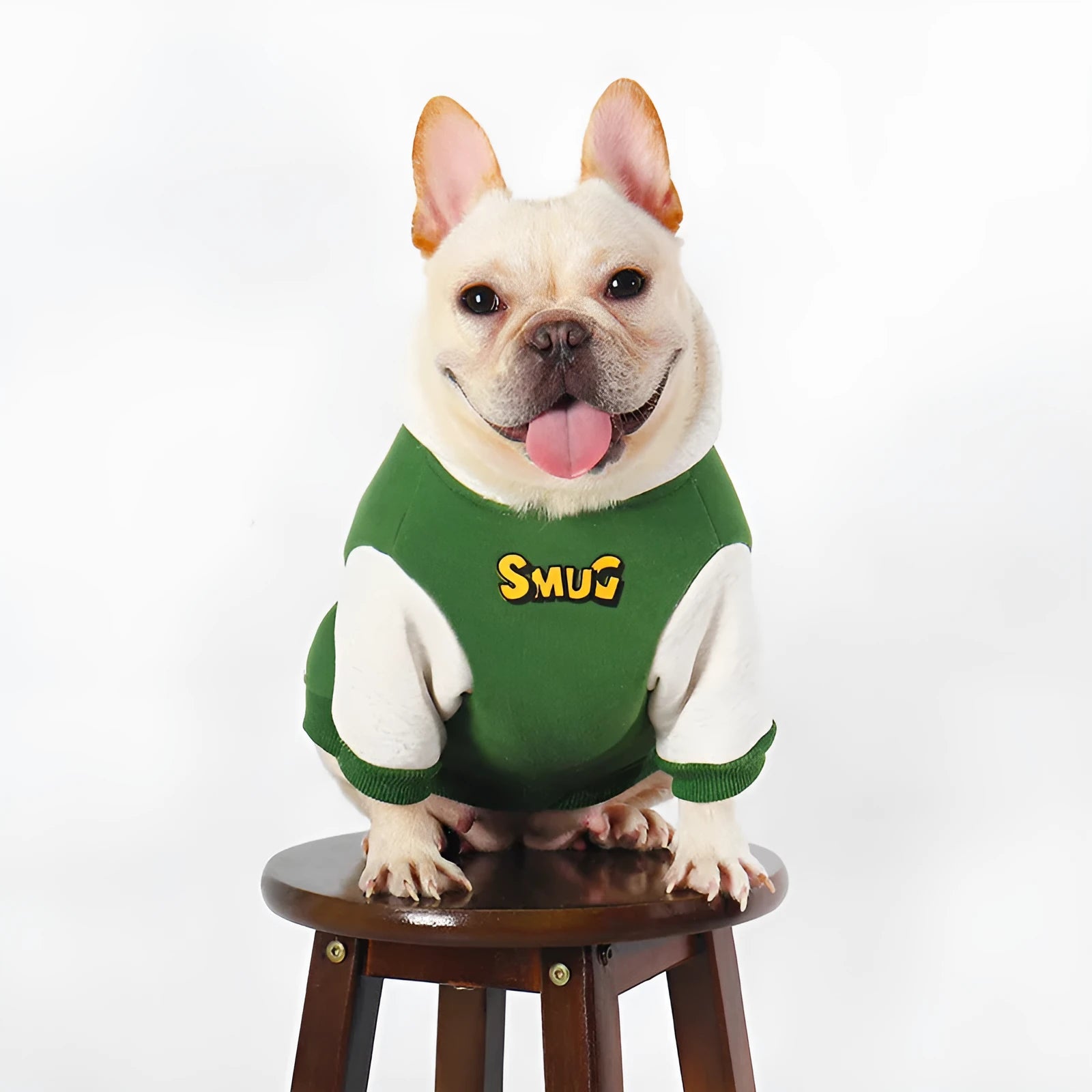 Green cotton dog clothing for autumn and winter seasons in sizes L XL 2XL 3XL 4XL