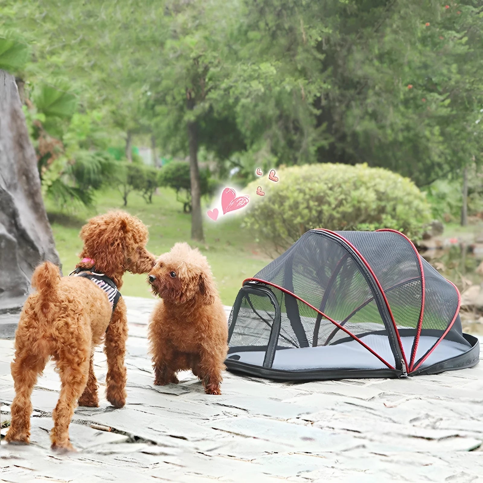 Pet folding tent in L code size with cloth construction and half mesh design