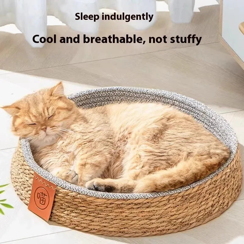 Rattan woven cat nest pet bed available in four sizes S, M, L, and XL