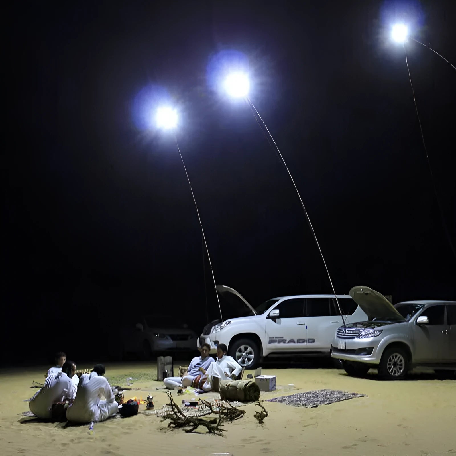 White LED fishing rod light panel on a tall telescopic pole with a remote control.