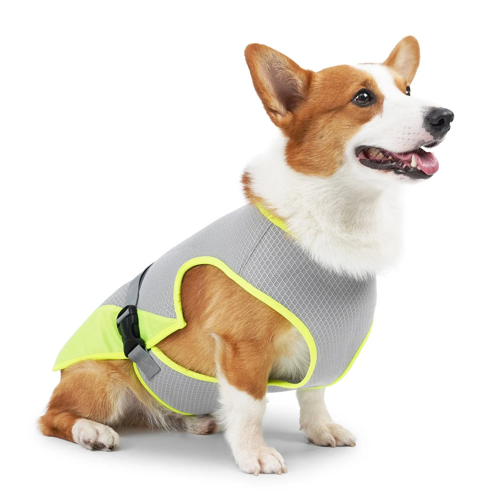 Light gray polyester mesh dog cooling vest on medium-sized dog showing breathable construction