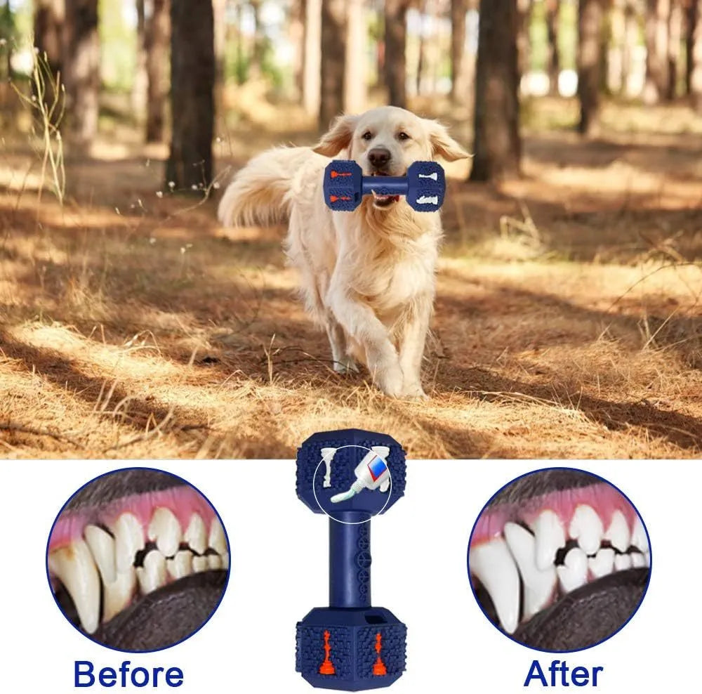 Durable hollow dumbbell dog chew toy in blue with textured surface for dental care, shown next to a treat.