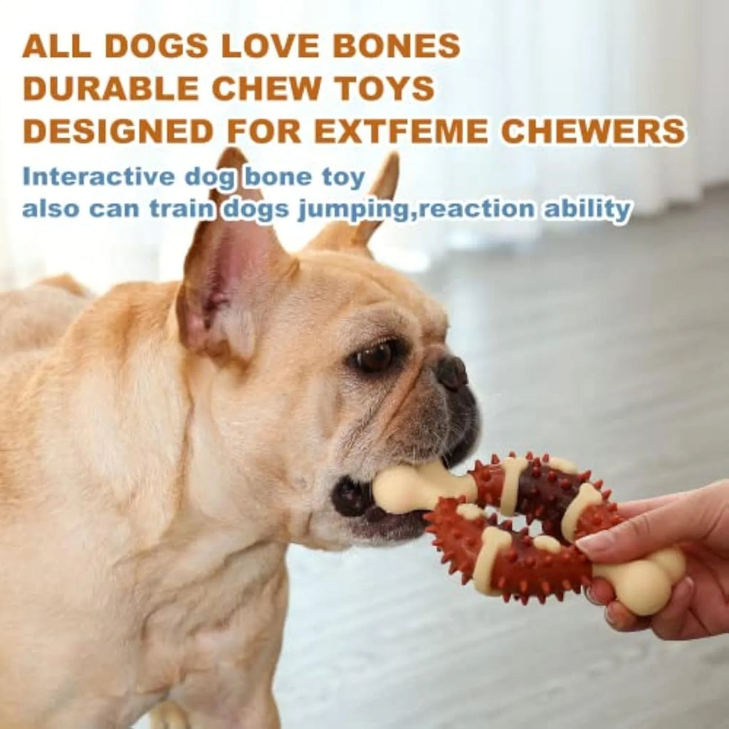 Natural rubber bone-shaped dog dental chew toy in two sizes for teeth grinding