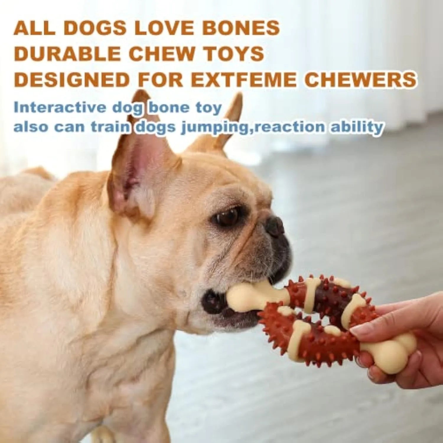 Natural rubber bone-shaped dog dental chew toy in two sizes for teeth grinding