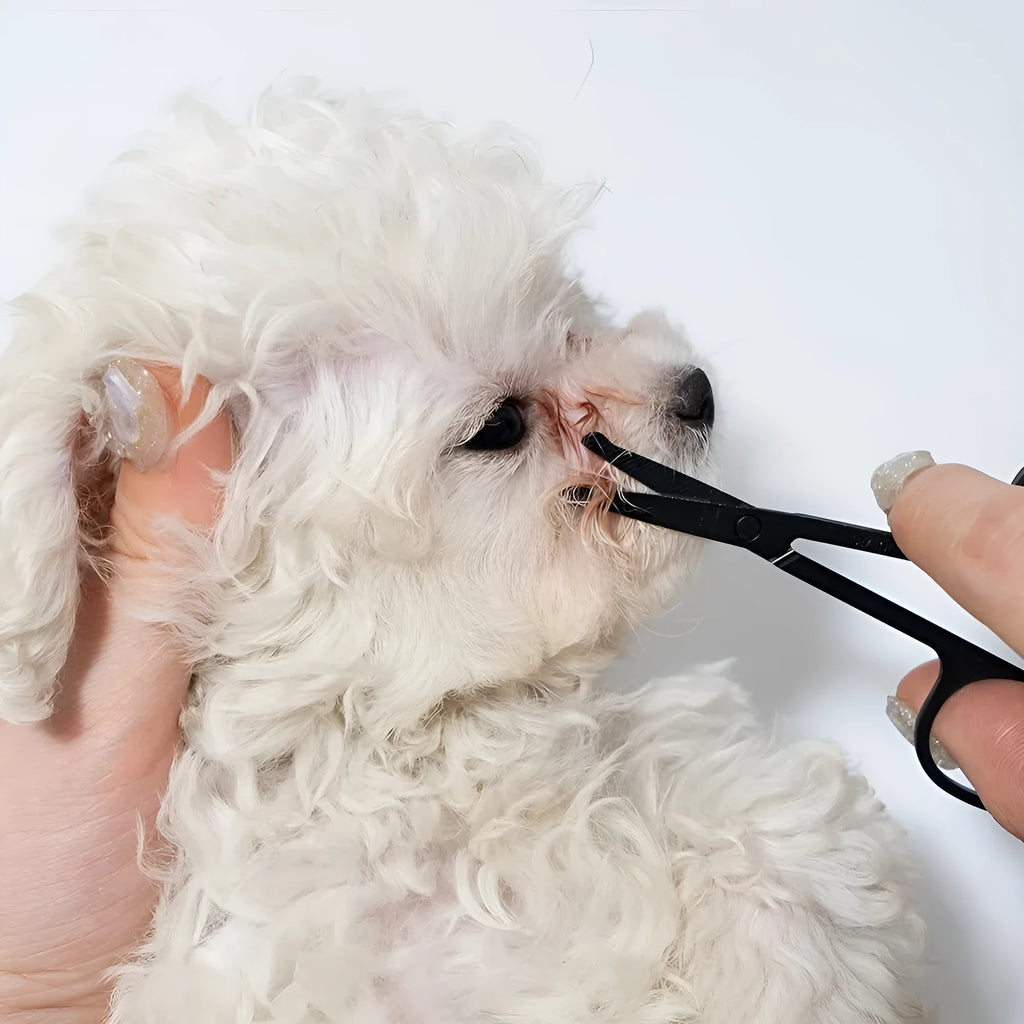 Black ambidextrous pet grooming brush with soft bristles and a fine-tooth comb for dogs and cats.