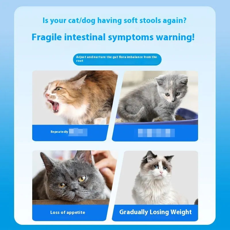 Bottle of Pet Active Probiotic Tablets containing 180 tablets for dog and cat digestive support