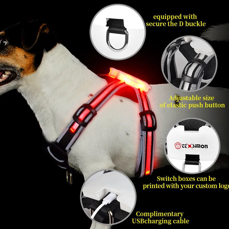 Nylon dog lead with illuminated seven-colour strap and charging cable for night walking