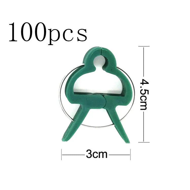 Green plastic and zinc plant support clips, showing large and small sizes for vines and tomatoes.