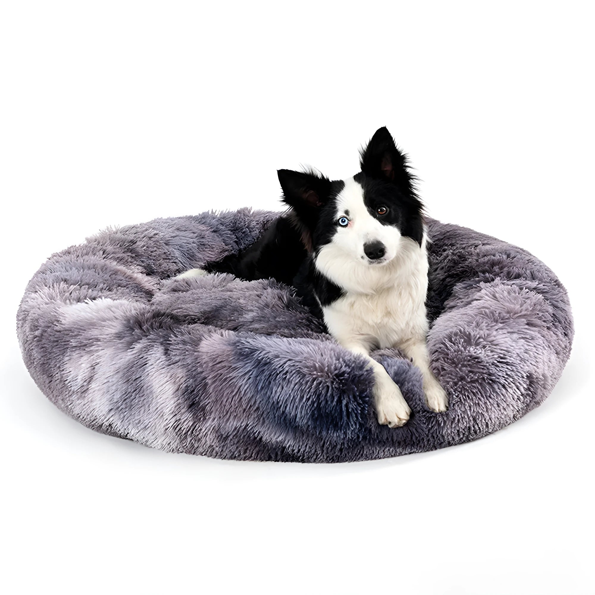 Fluffy grey donut dog bed with raised rim, shown with a small dog sleeping inside.