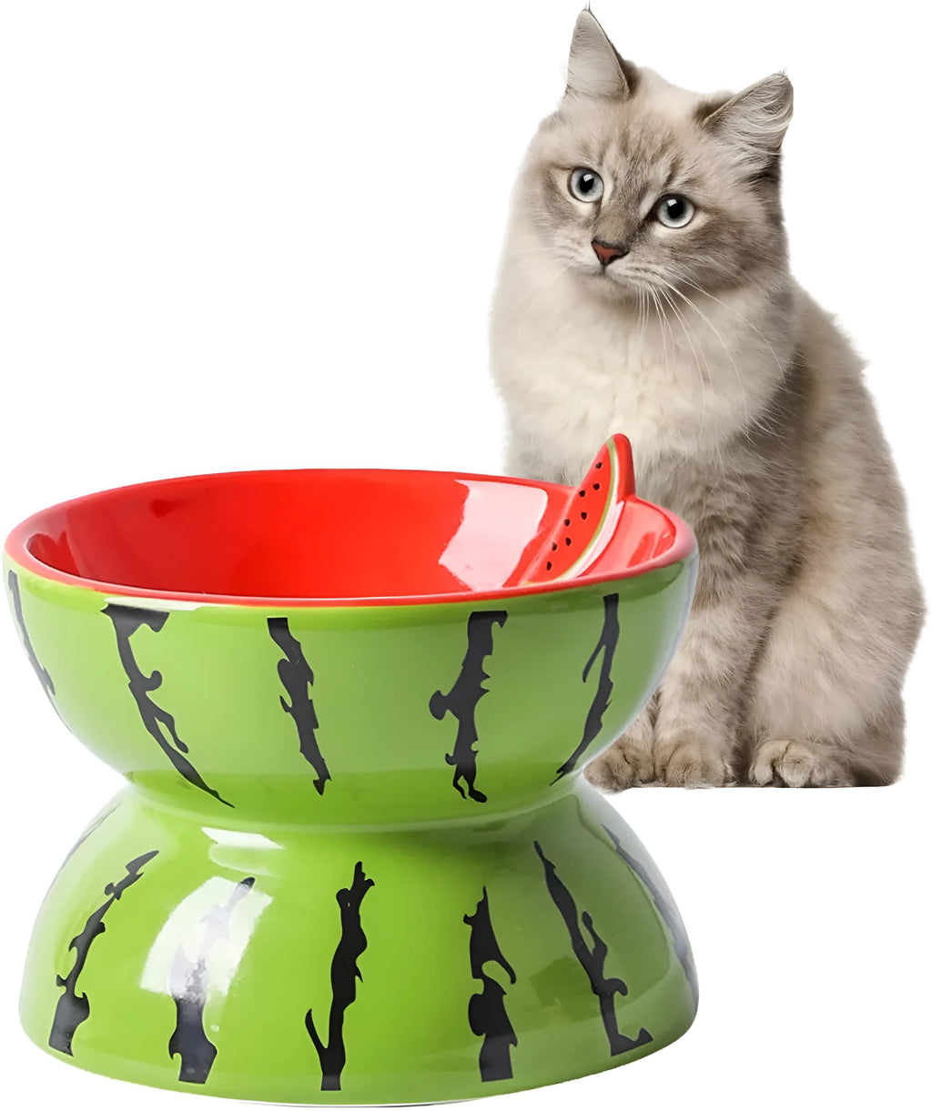Ceramic raised cat bowl with tilted design and colourful fruit pattern