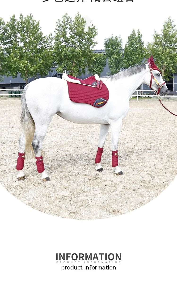 Riding saddle pad for shock absorption in equestrian and cycling waist protection