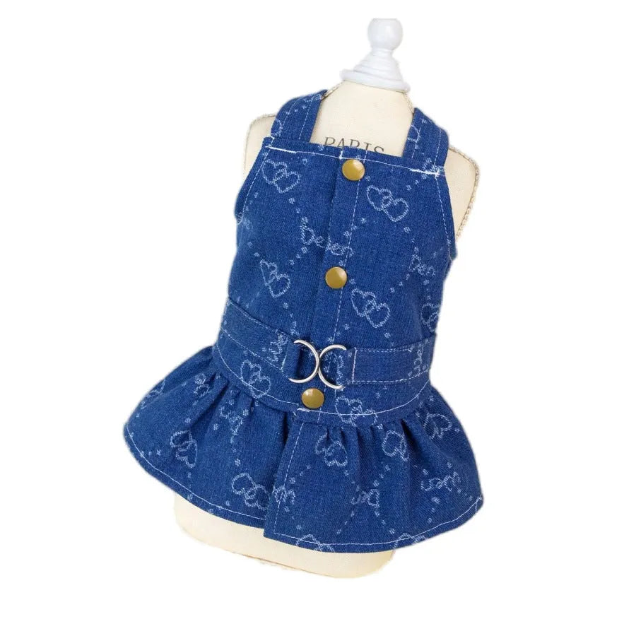 Small dog wearing a denim Princess dress in a bracket-skirt style.
