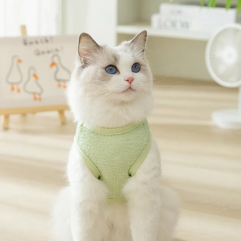 Green knitted cat clothing with bear patch design showing hollowed-out breathable fabric construction