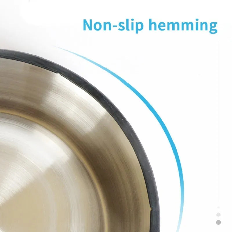 Colourful stainless steel pet bowl with non-slip rubber base available in multiple sizes