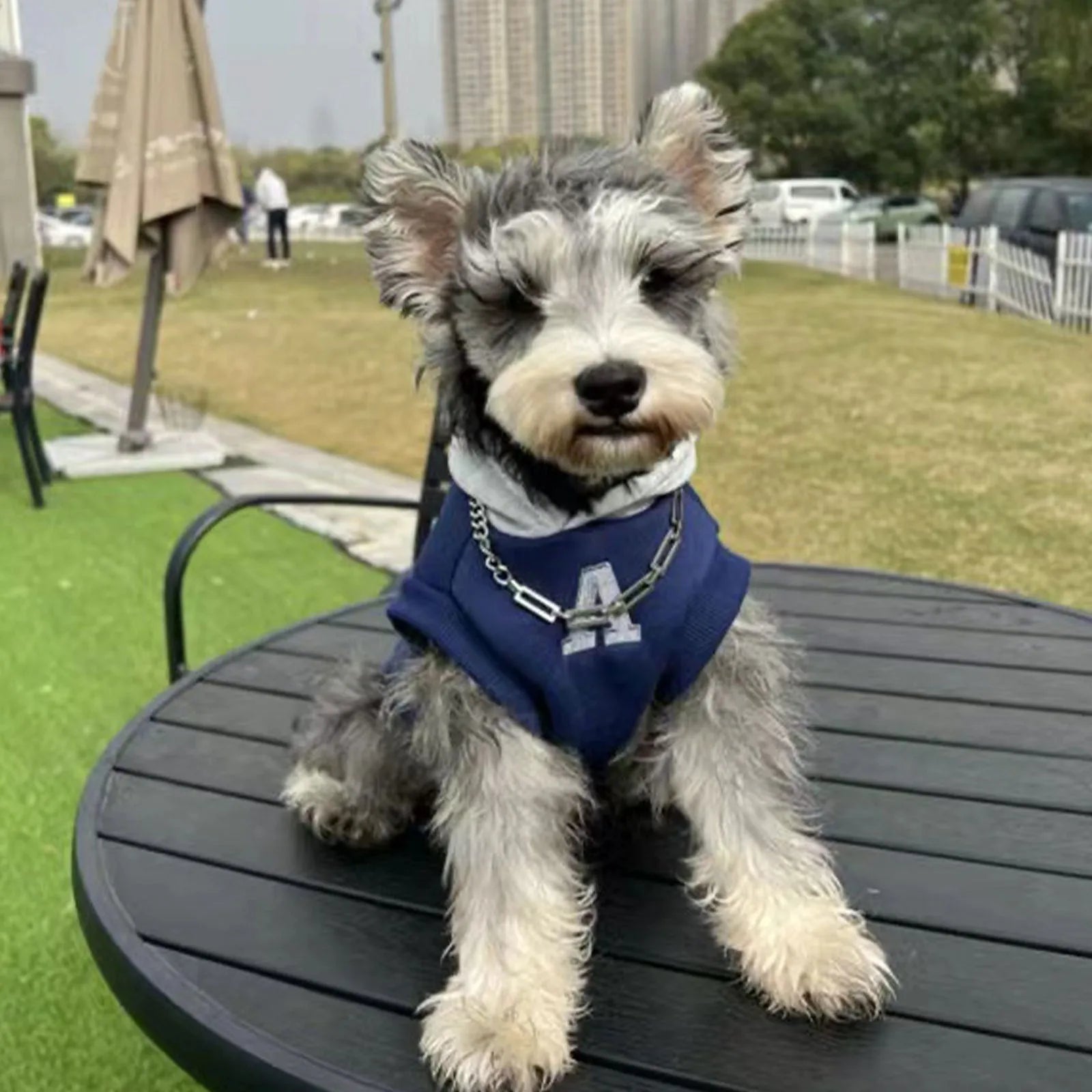 Blue and white reflective letter pet sweater for cats and dogs in slim fit polyester