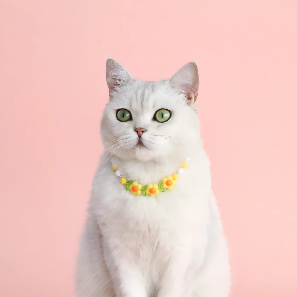 Colourful plastic pearl pet necklace for cats and small dogs in peach, rainbow or flower bead designs