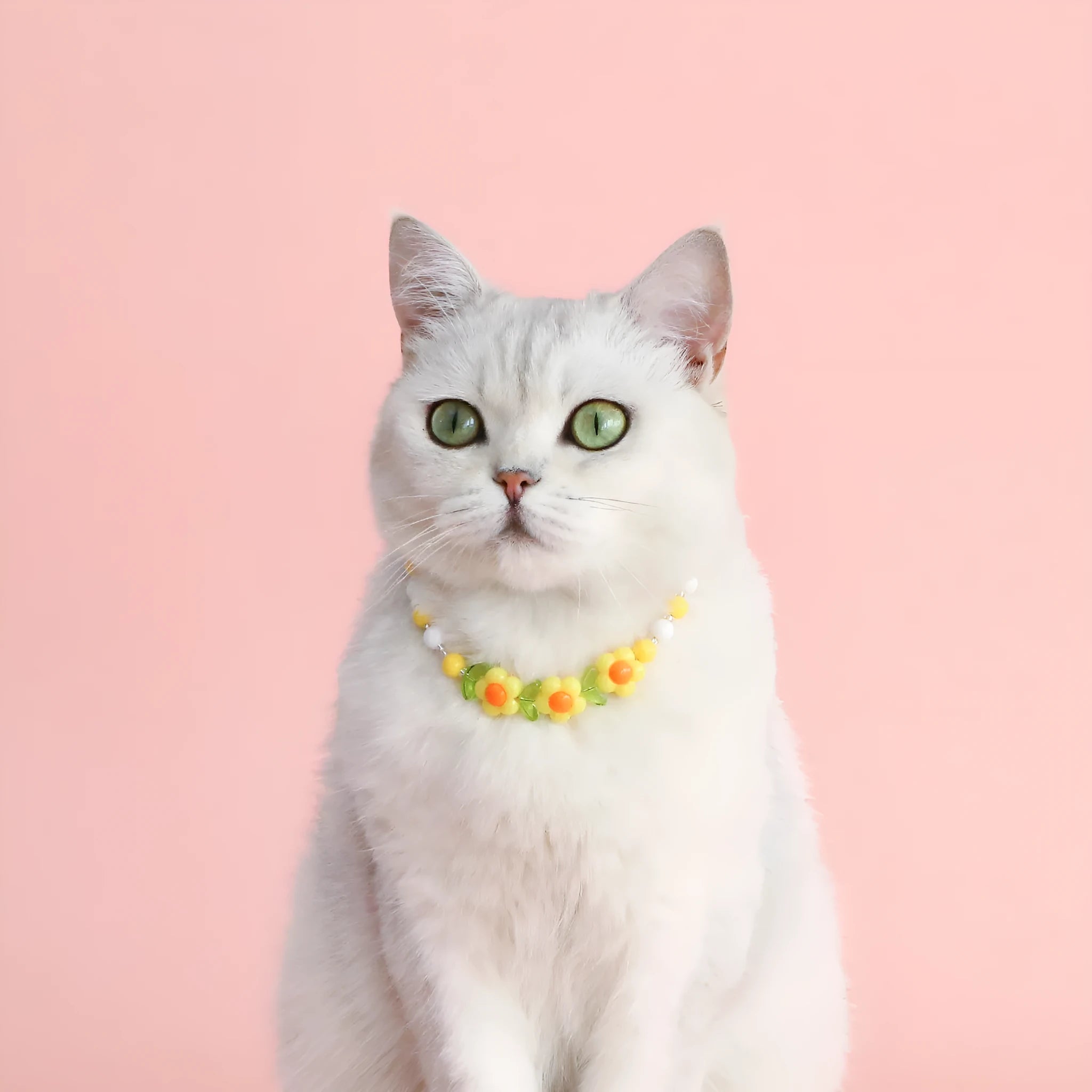 Colourful plastic pearl pet necklace for cats and small dogs in peach, rainbow or flower bead designs