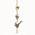 Cotton rope woven wire plant basket shown in desktop, wall hanging, and hanging basin styles.