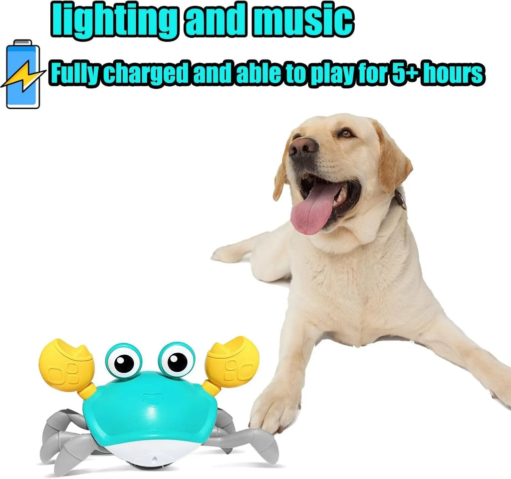 Blue or red crawling crab dog toy with obstacle avoidance sensor and colourful lights
