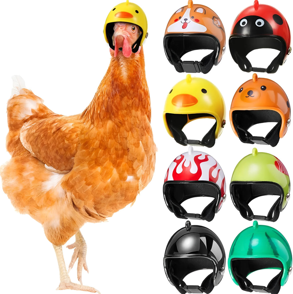 Small pet safety helmet on chicken with adjustable elastic bands and sponge lining