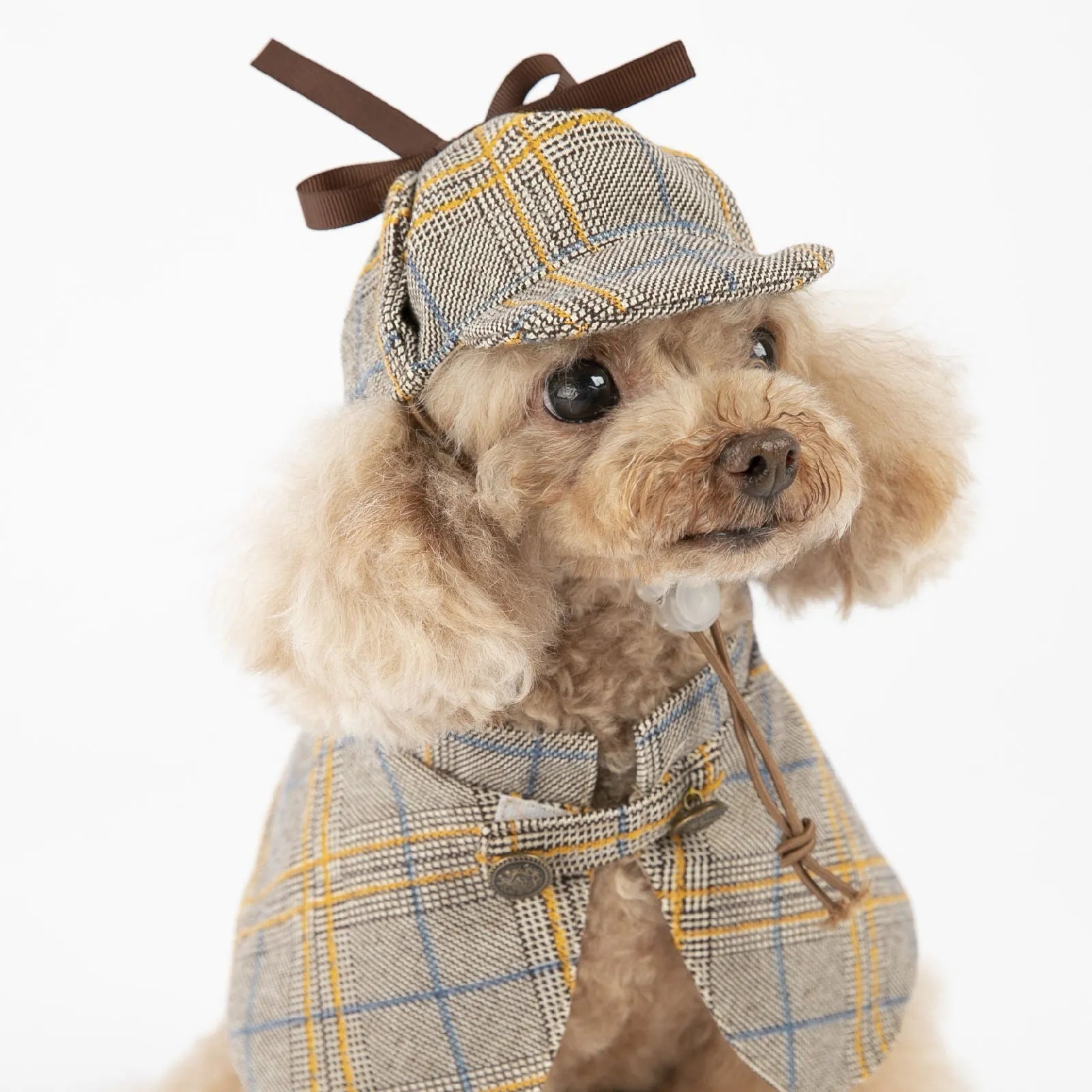 Camel-coloured cotton cloak with adjustable hat for a dog or cat, showing the cloak's style and fit.