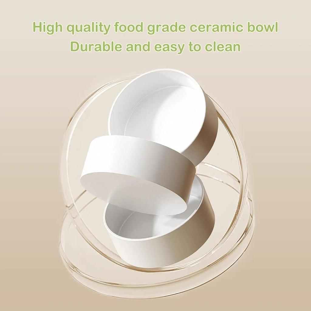 Green ceramic elevated cat bowl set with 15-degree tilt and non-slip base