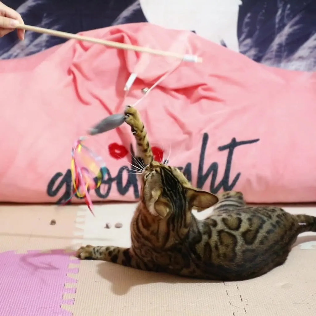 Wooden handle cat wand toy with catnip fish, colourful ribbons and bell attachment