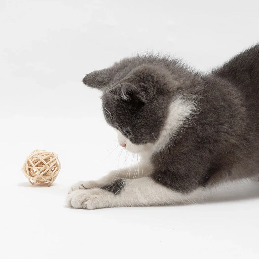 Two cat toy balls: one rattan sphere and one colourful faux feather ball with bell on a neutral background