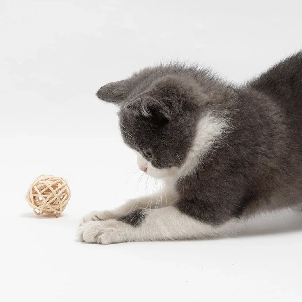 Two cat toy balls: one rattan sphere and one colourful faux feather ball with bell on a neutral background