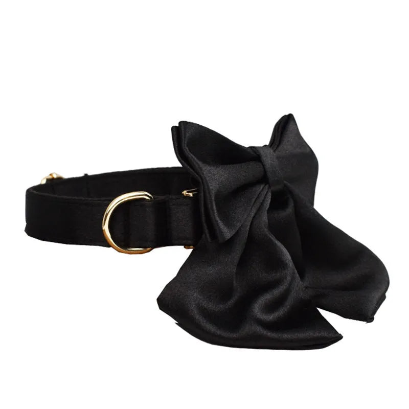 Complete dog accessory set showing collar, rope leash, decorative bow, and vest in coordinating colours