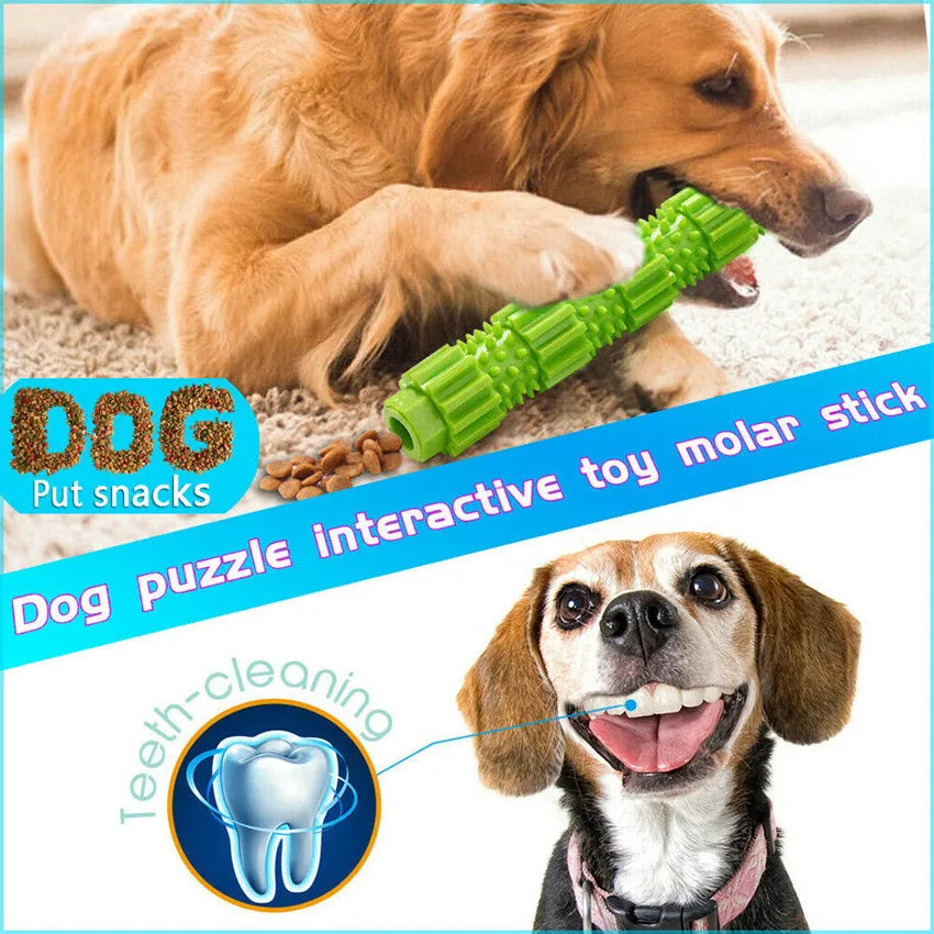 Green and orange natural rubber dog chew toy with treat dispensing hole