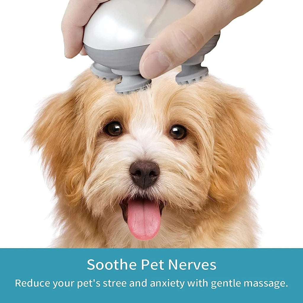 Blue handheld electric pet massager with four rotating heads for cats and dogs