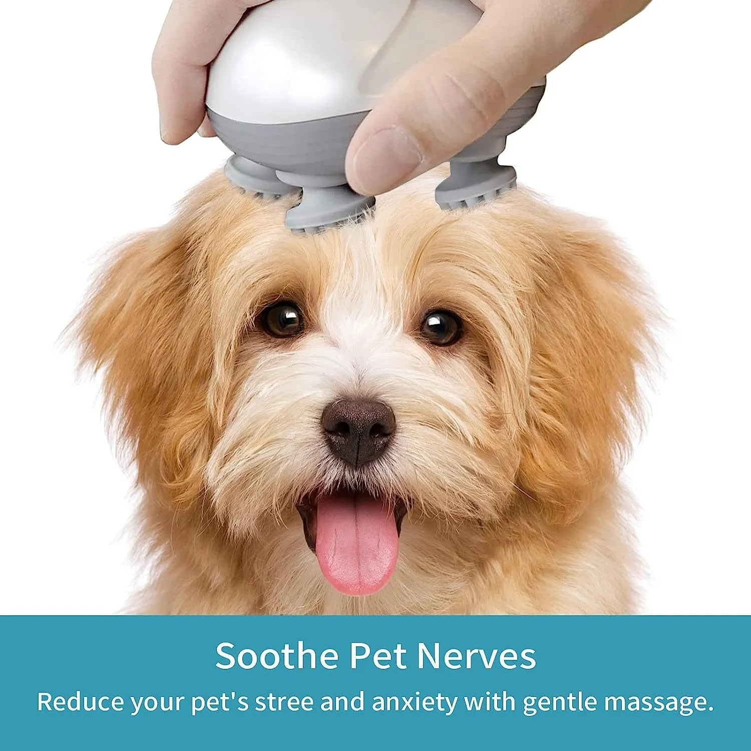 Blue handheld electric pet massager with four rotating heads for cats and dogs