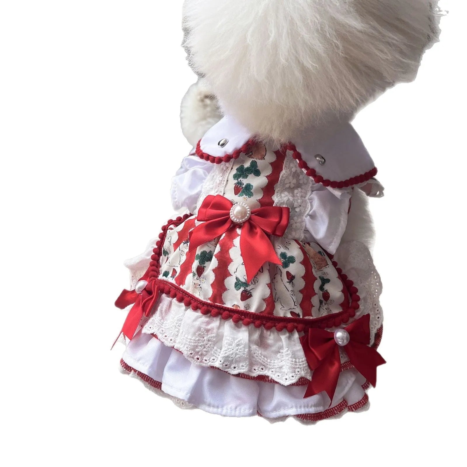 A small dog wearing a white polyester skirt with a rabbit motif, princess style.