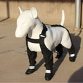 Waterproof dog shoes with adjustable straps in six sizes for pet paw protection