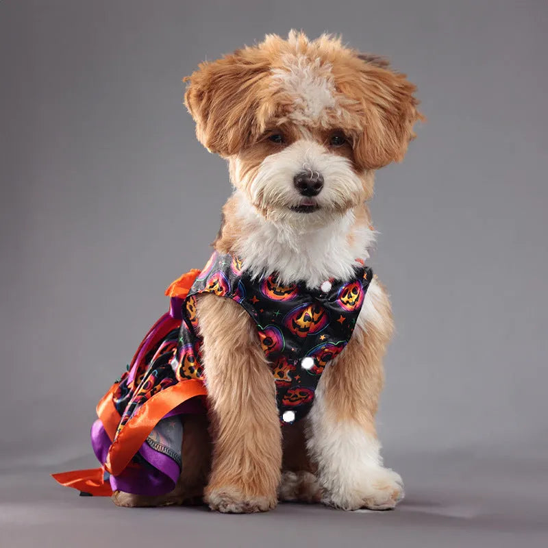 Halloween dog skirt with colourful pumpkin design in size medium