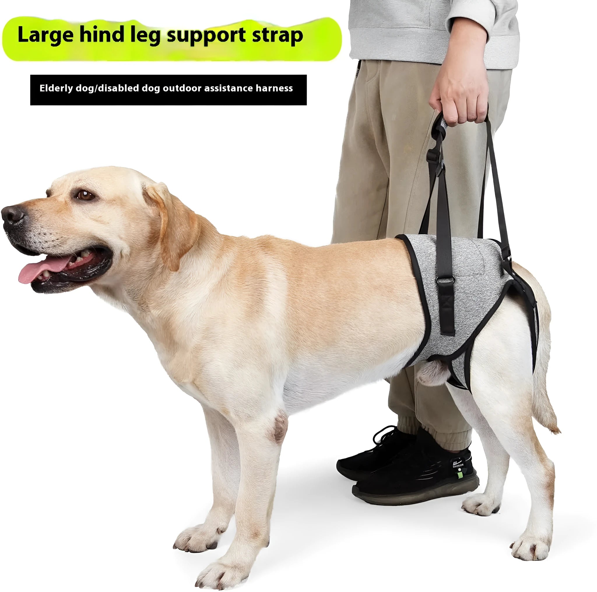 Grey neoprene dog recovery belt with adjustable waist and thigh straps for rear leg support