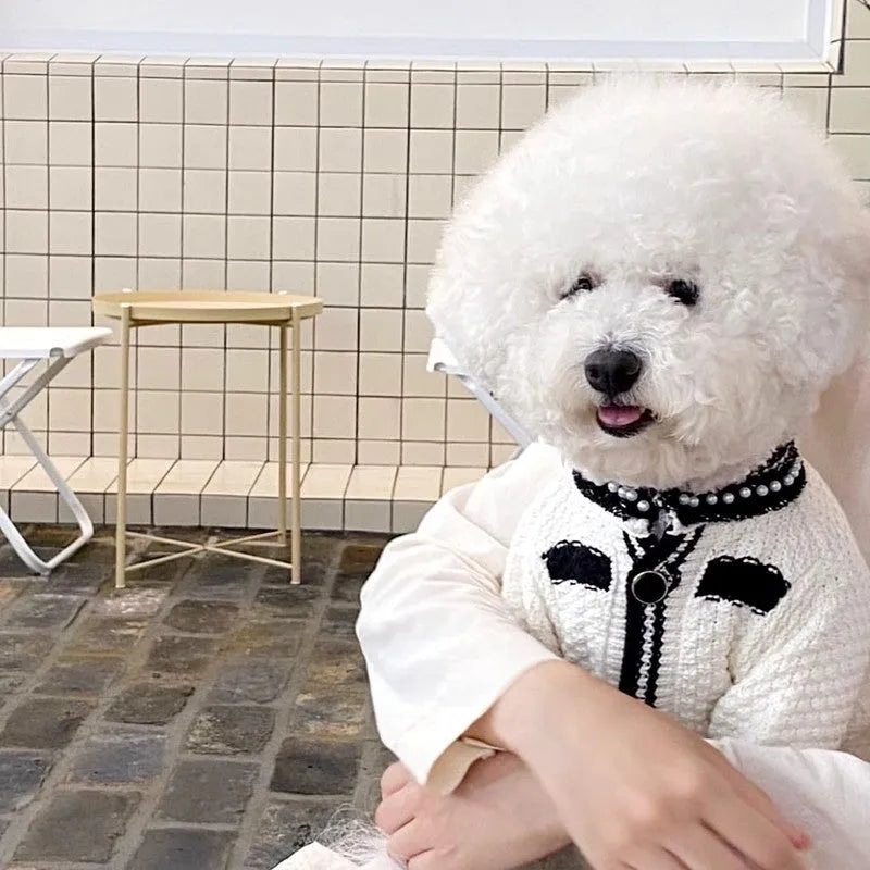 Korean-style white dog sweater with pearl collar on small breed pet
