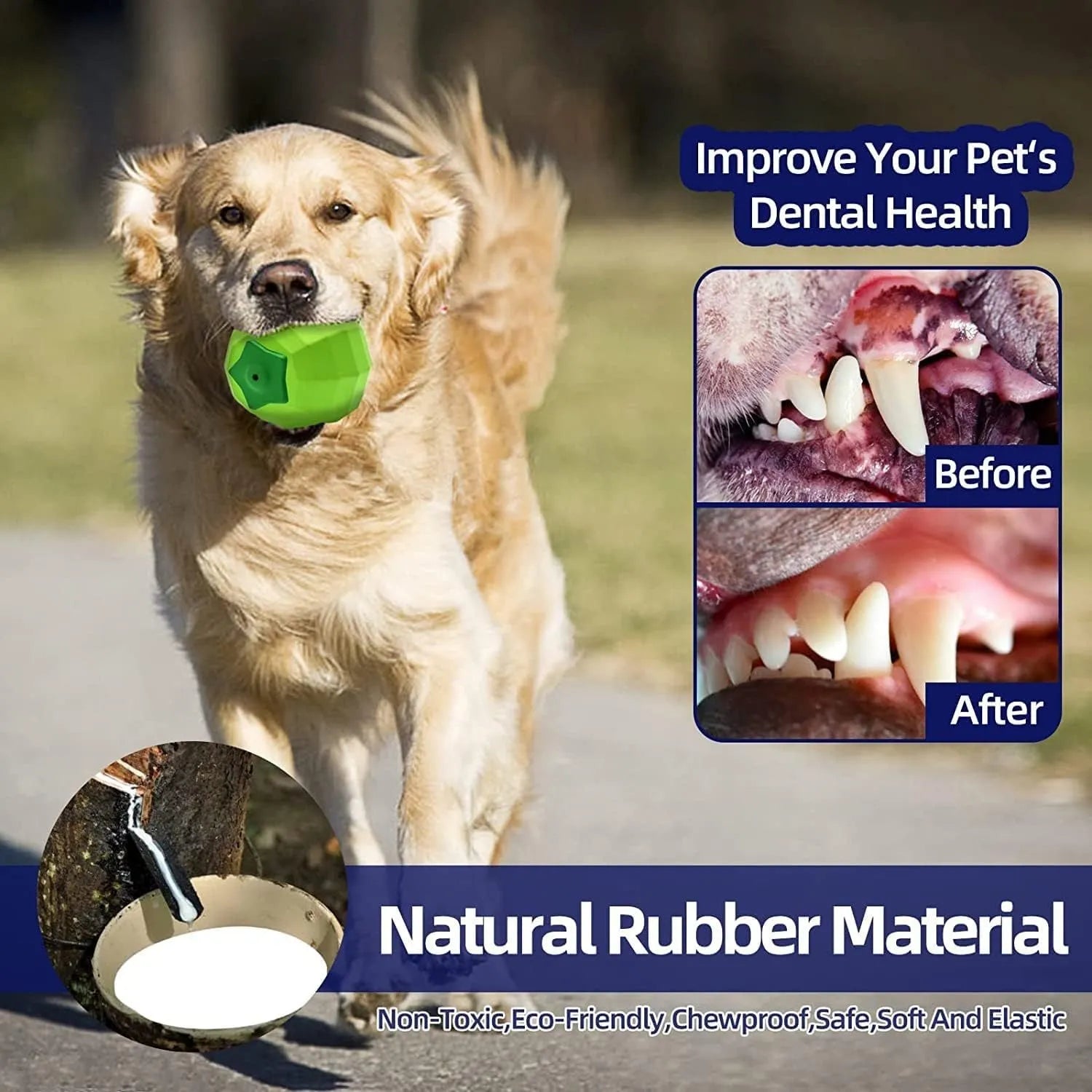 Green natural rubber dog chew ball with squeaker for large breed aggressive chewers.