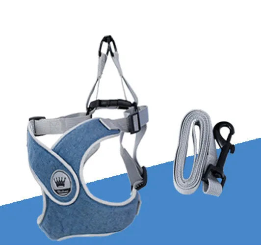 Adjustable dog and cat harness with breathable mesh material and metal D-ring in multiple colour options